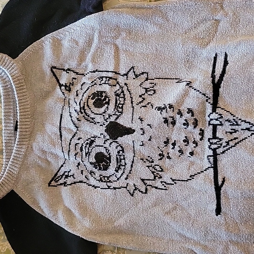 GAP Owl Sweater Dress